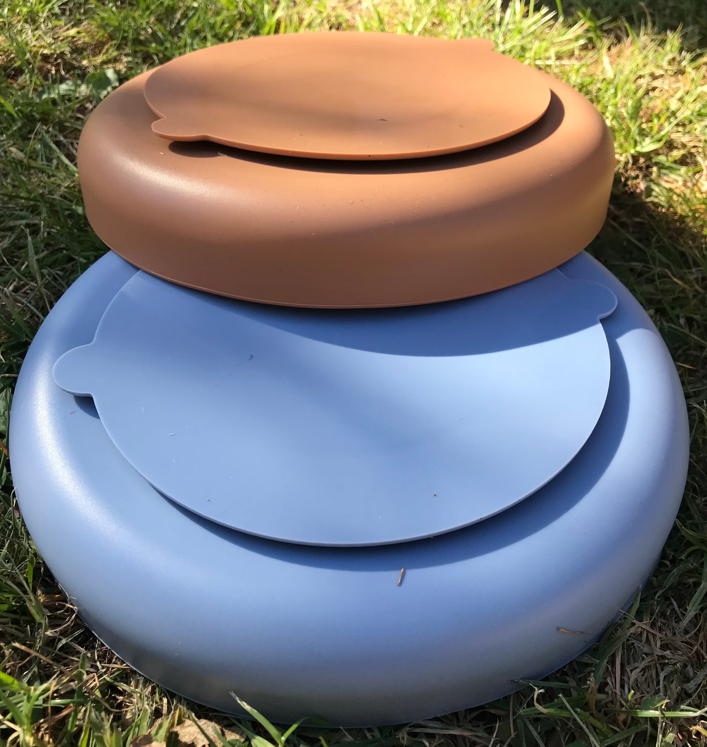 Mushroom Enrichment Bowl