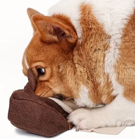 Tissue Snuffle Box