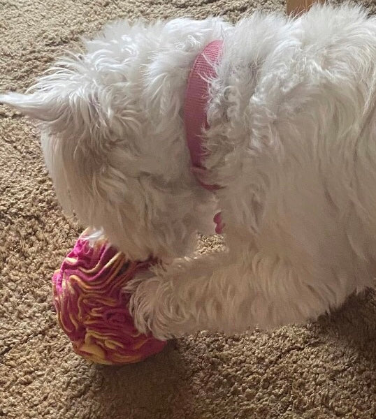 Snuffle Ball