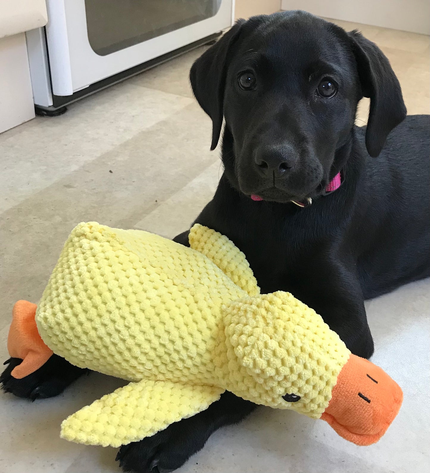 Quackers