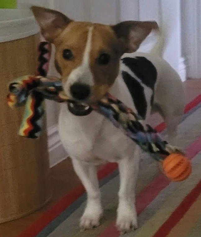 Ball & Tug