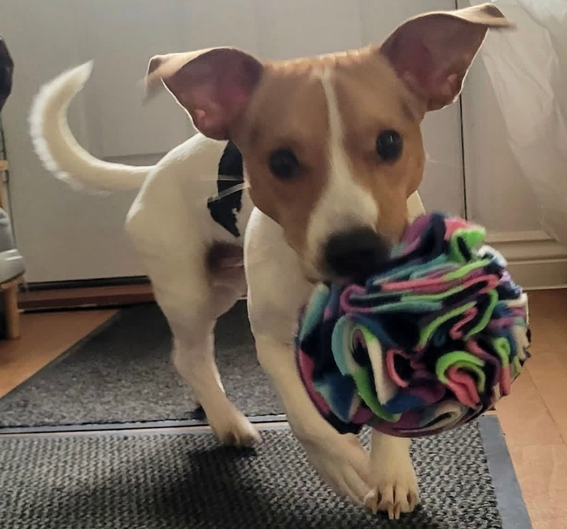 Cosmic Purple Collection