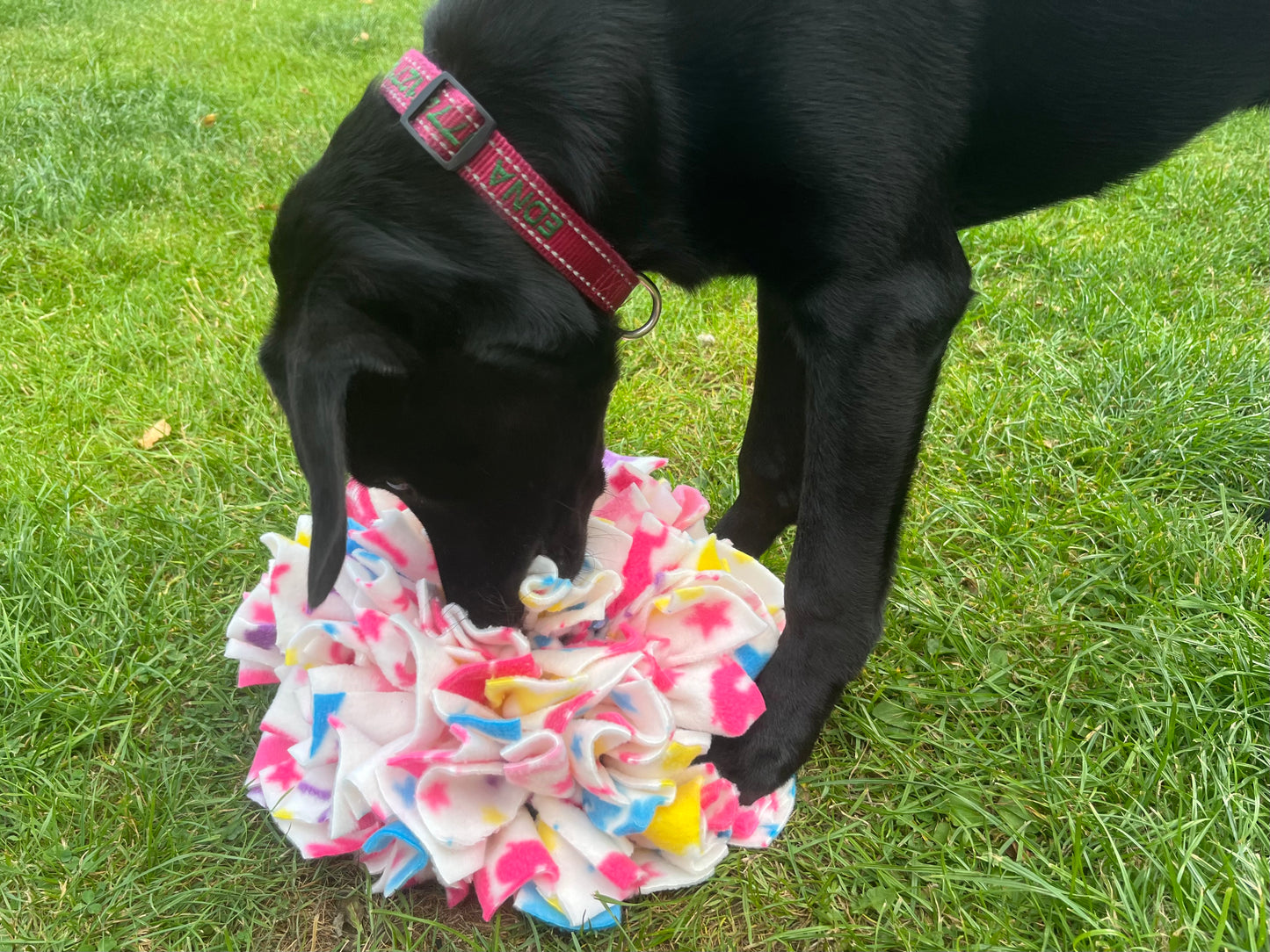 Snuffle Mat