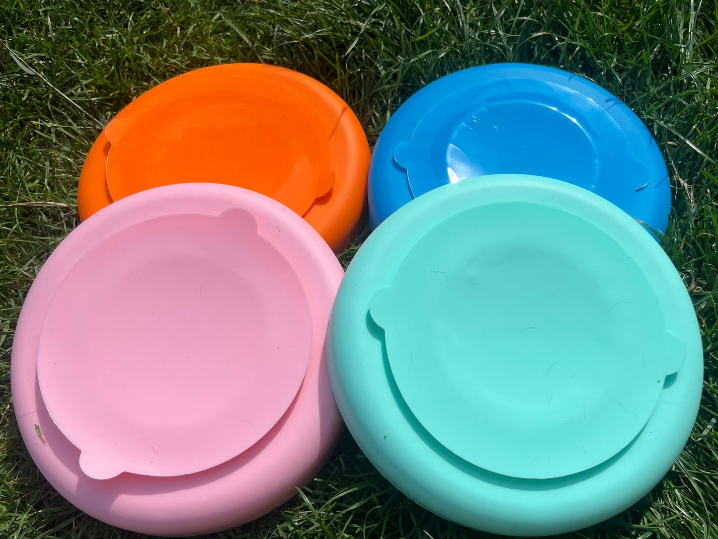 Wave Enrichment Bowl