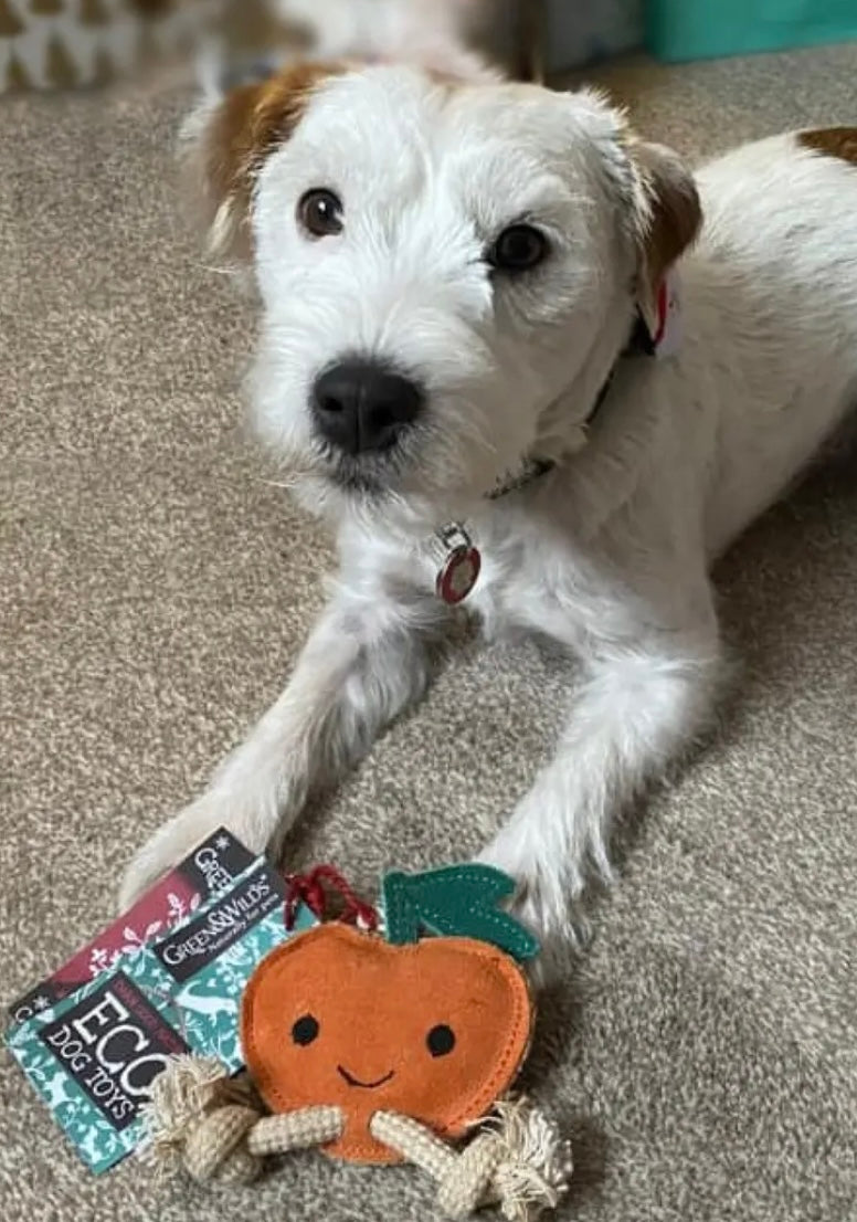 Green & Wilds~Sancho The Satsuma ~ Eco Dog Toy