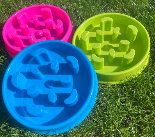 Basic Slow Feeding Bowls