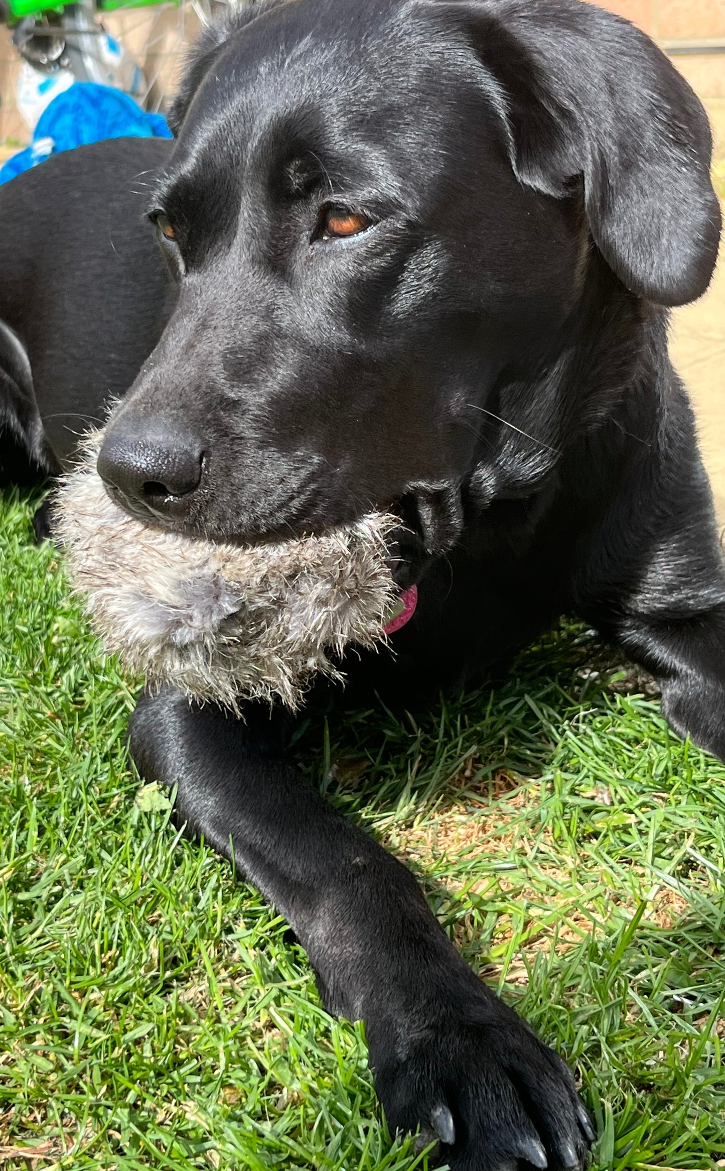Faux Fur Balls