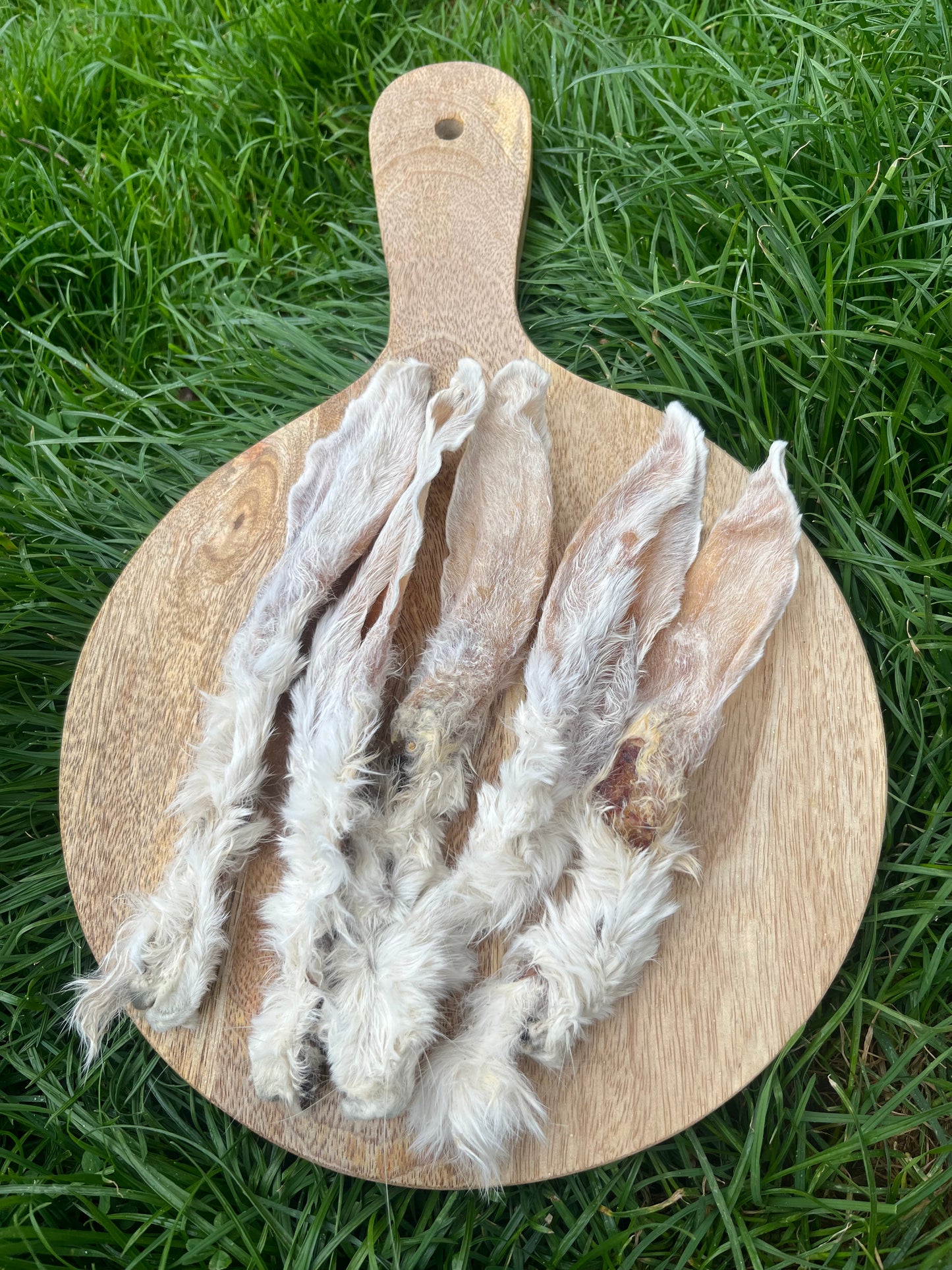 Hairy Rabbit Ears