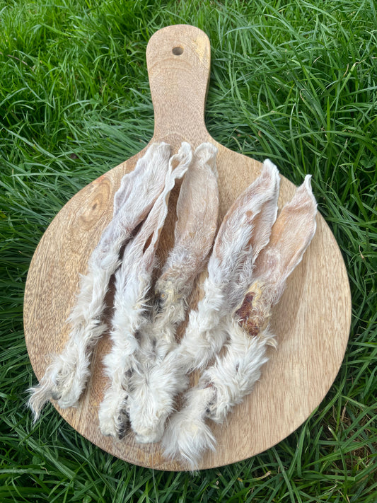 Hairy Rabbit Ears