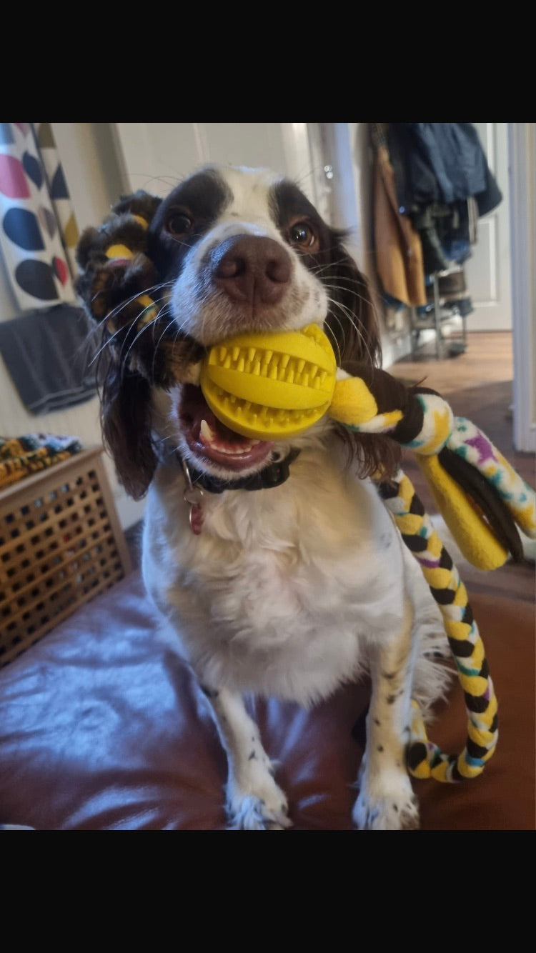 Faux Fur Tug