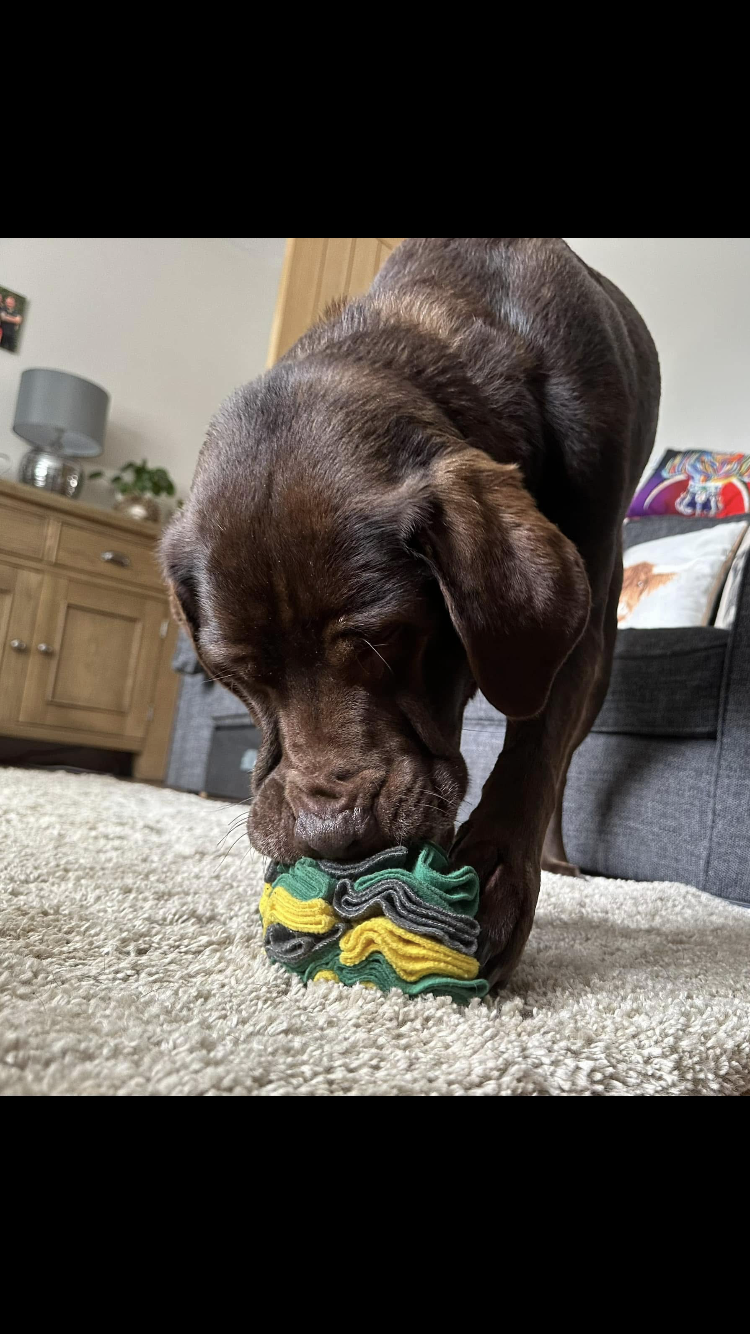 Medium Snuffle Ball