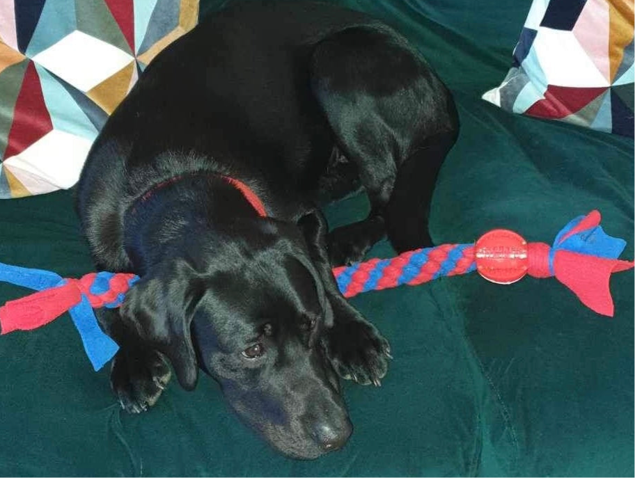 XL Ball ‘N’ Tug