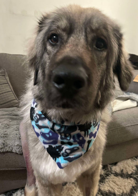 Handmade Dinosaur Fleece Bandanna