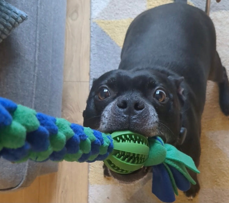 XL Ball ‘N’ Tug