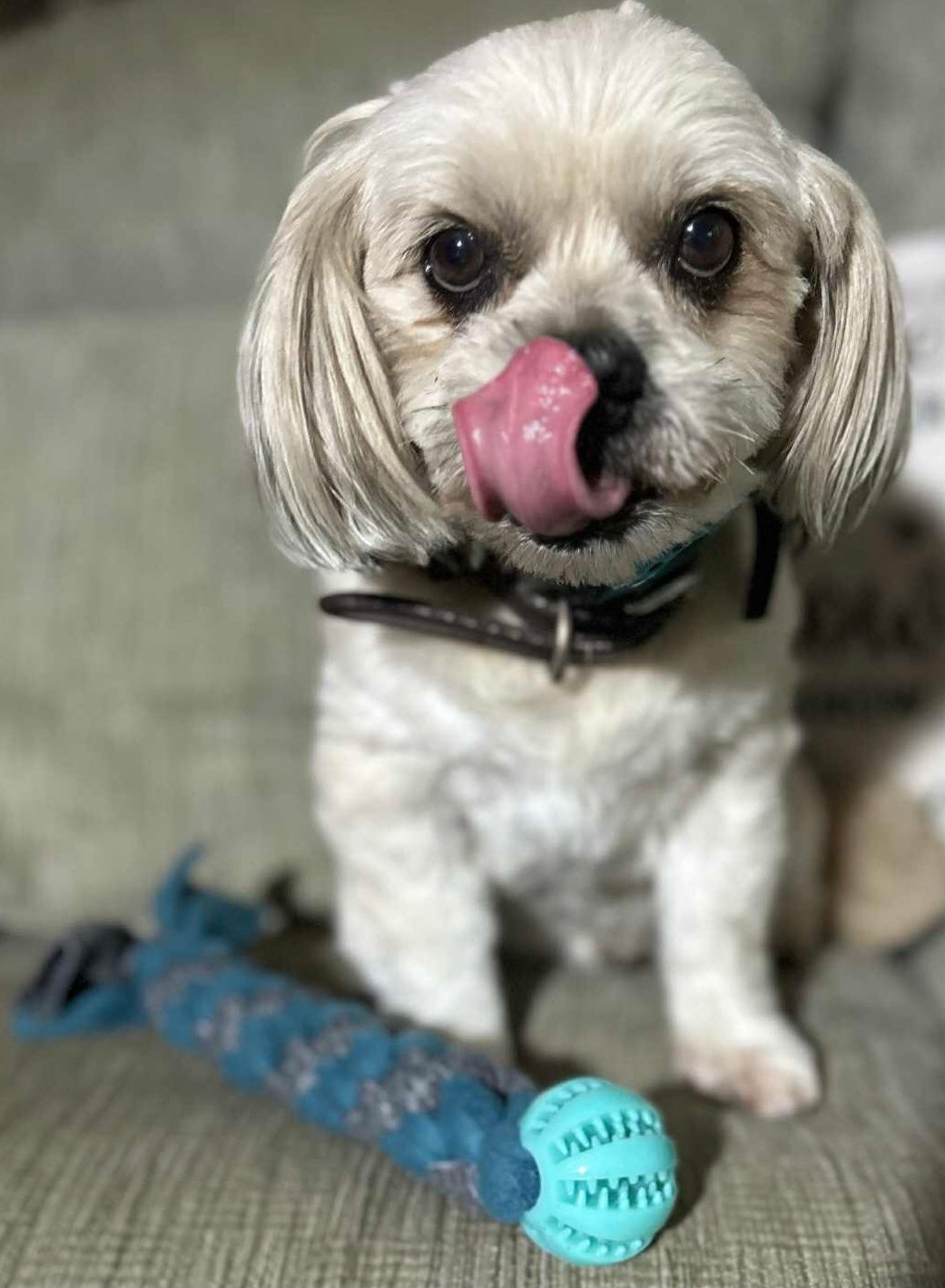 Ball ‘N’ Tug