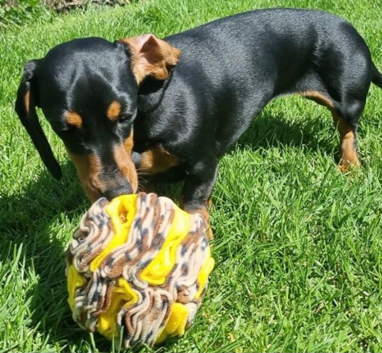 Medium Snuffle Ball