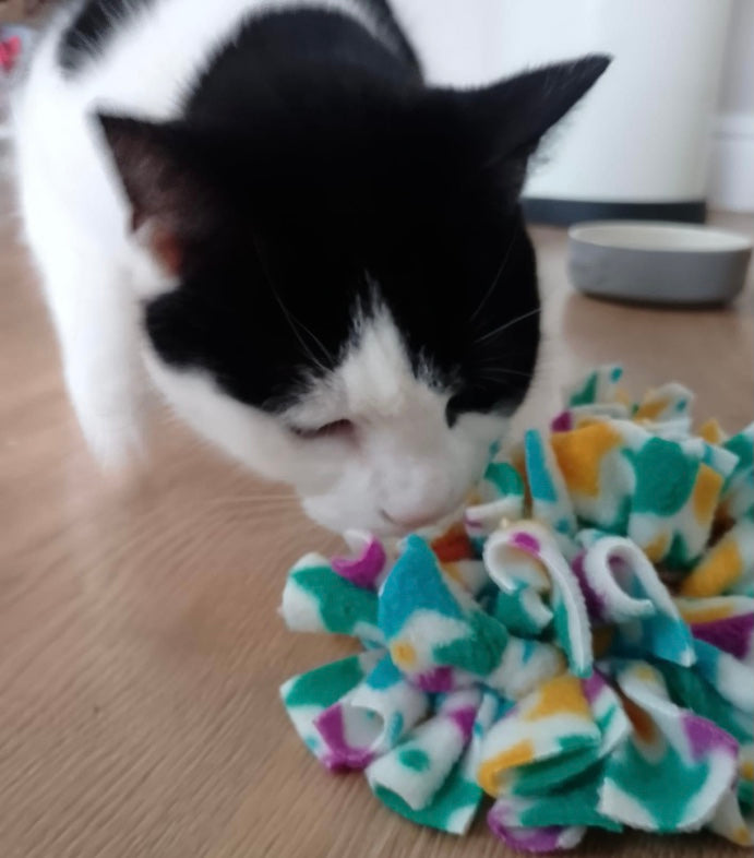 Mini Snuffle Mat