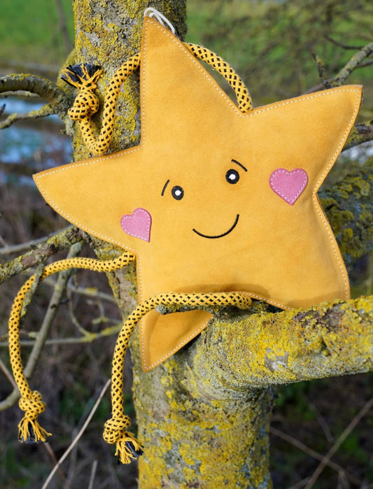 Aurora Paws Star ~XL Eco Dog Toy