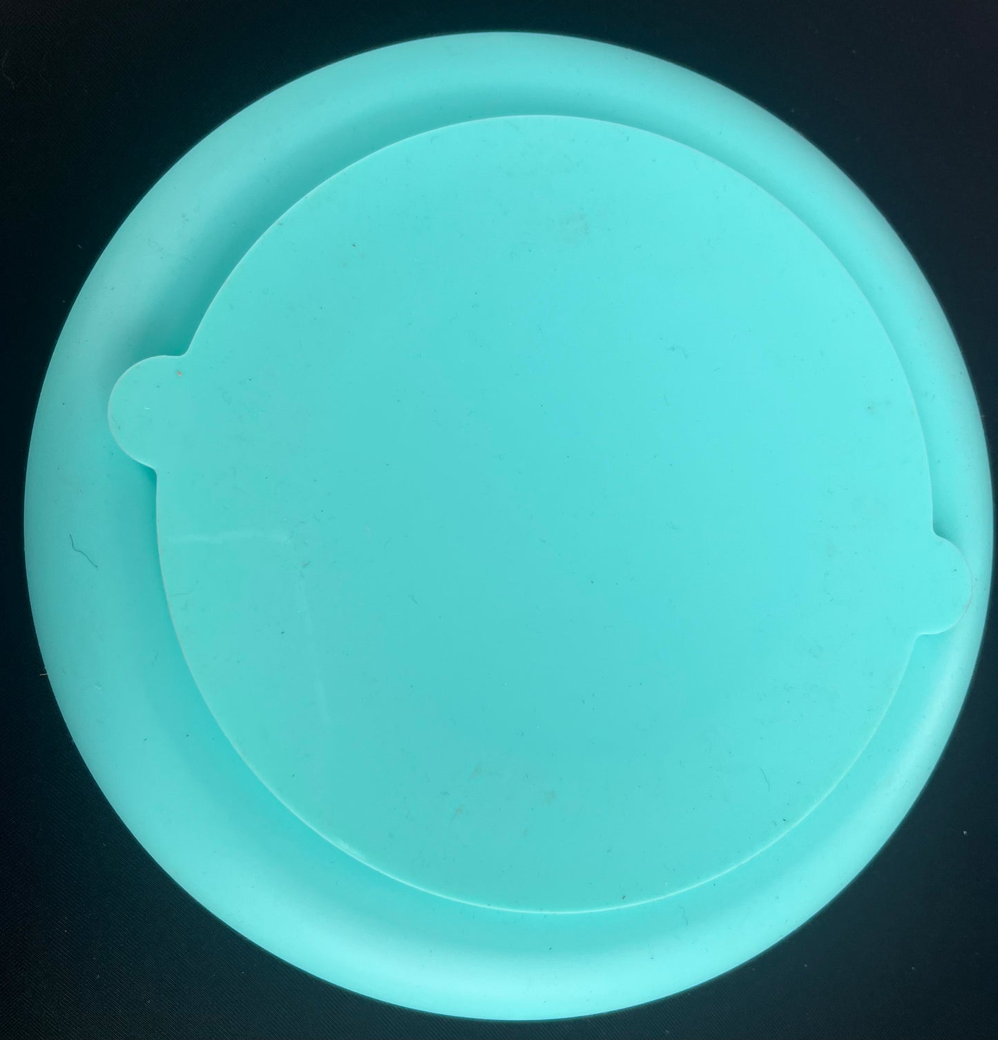 Beach Enrichment Bowl