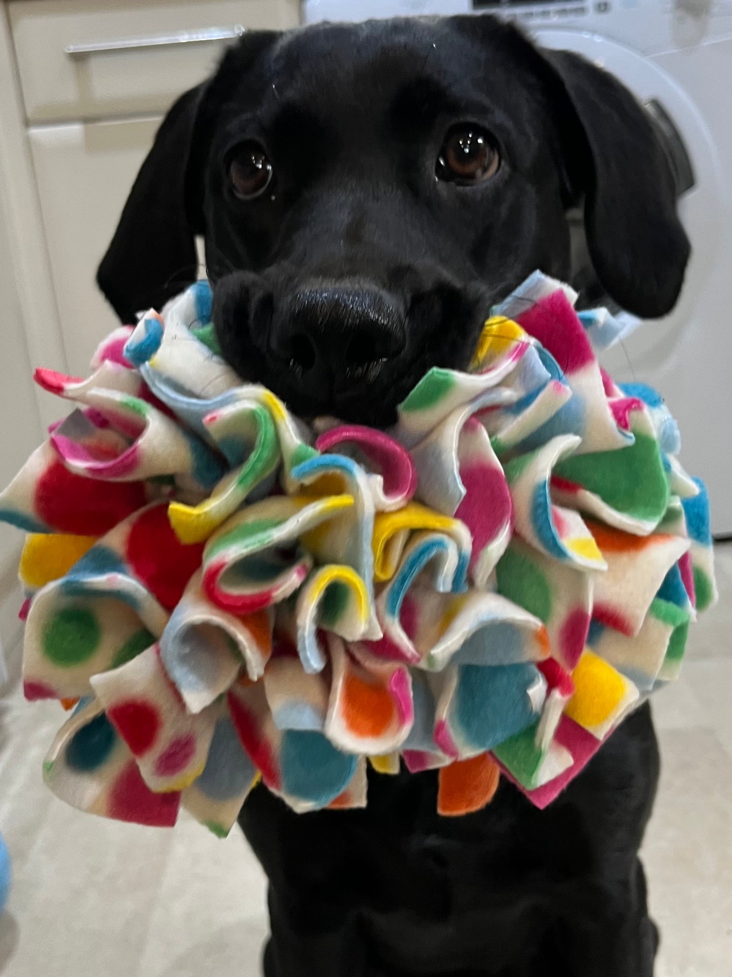 Mini Snuffle Mat