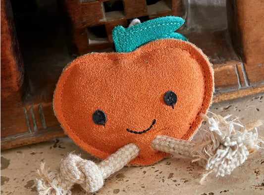 Green & Wilds~Sancho The Satsuma ~ Eco Dog Toy