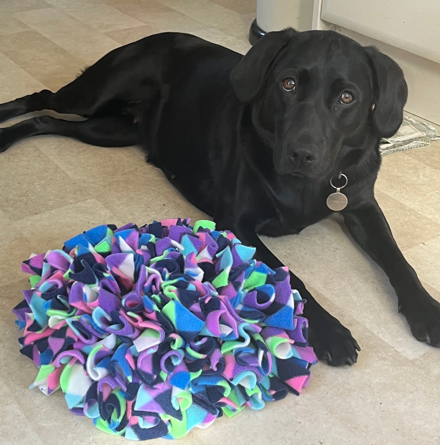 Large Snuffle Mat