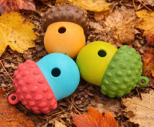 Acorn Treat Dispenser