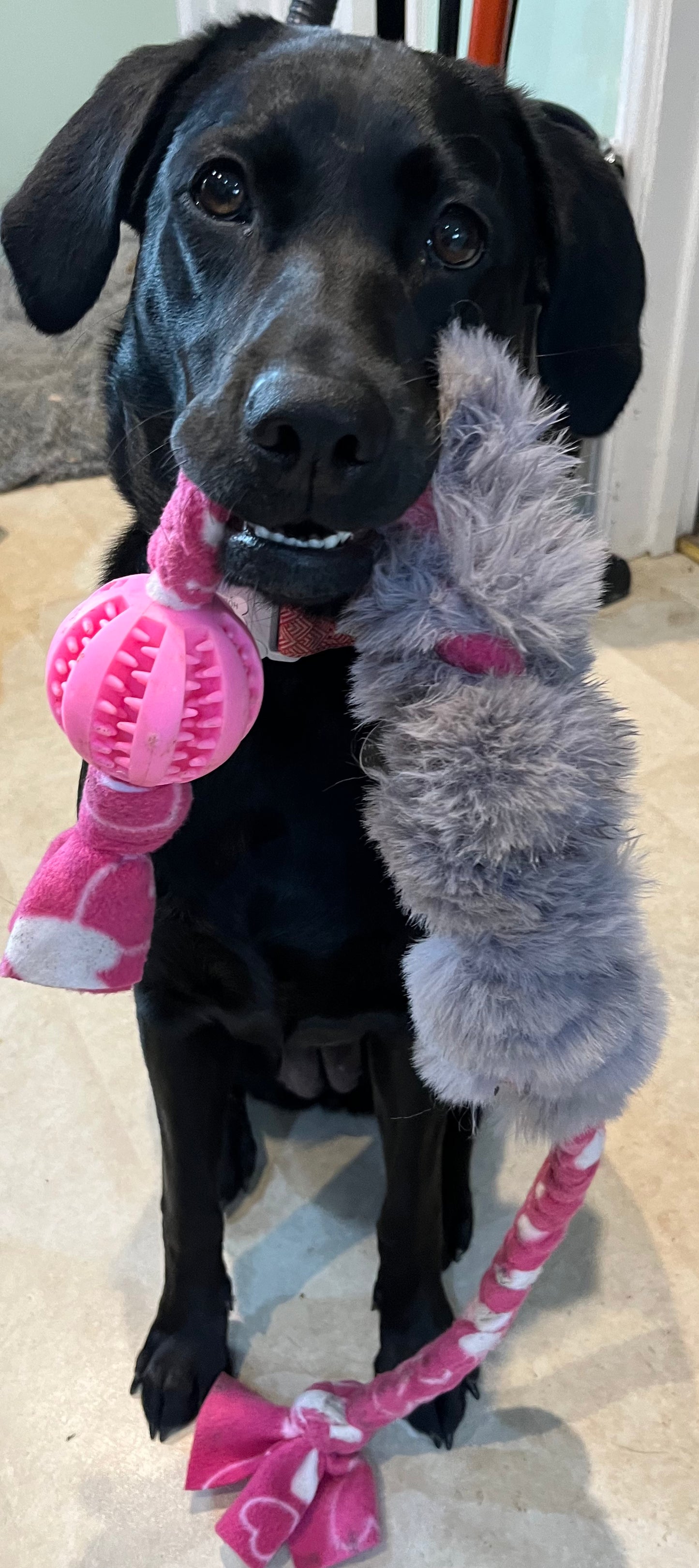 Large Faux Fur Tug