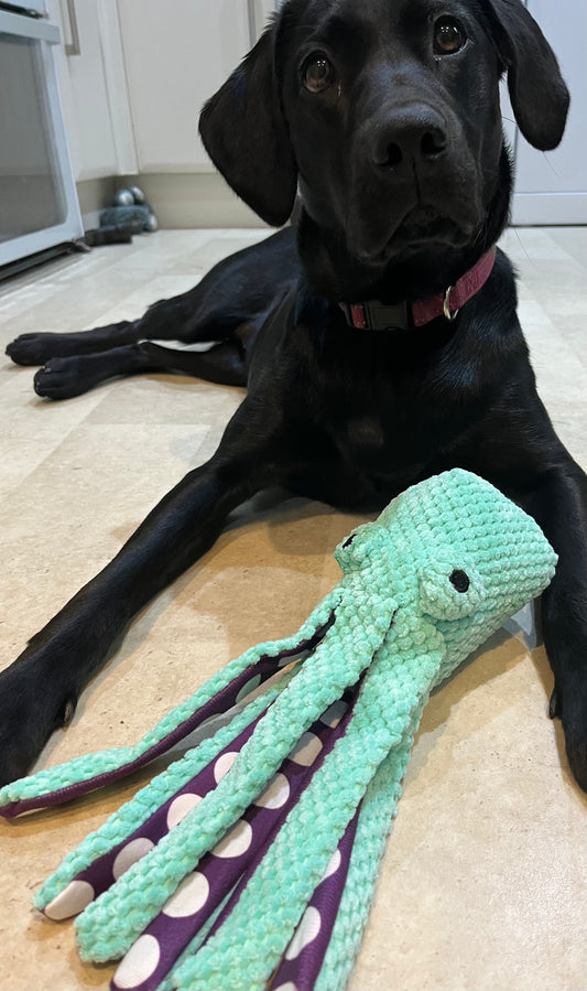 Sensory Octopus