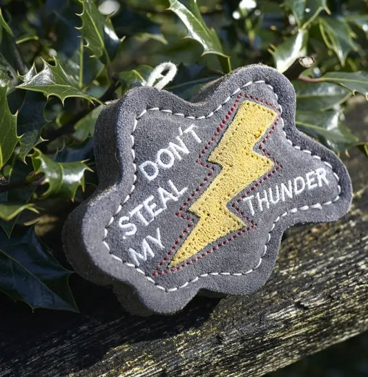 Green & Wild’s~Don’t Steal My Thunder~Eco Dog Toy