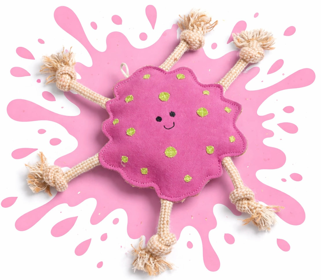 Green & Wild’s~Splat~Eco Dog Toy