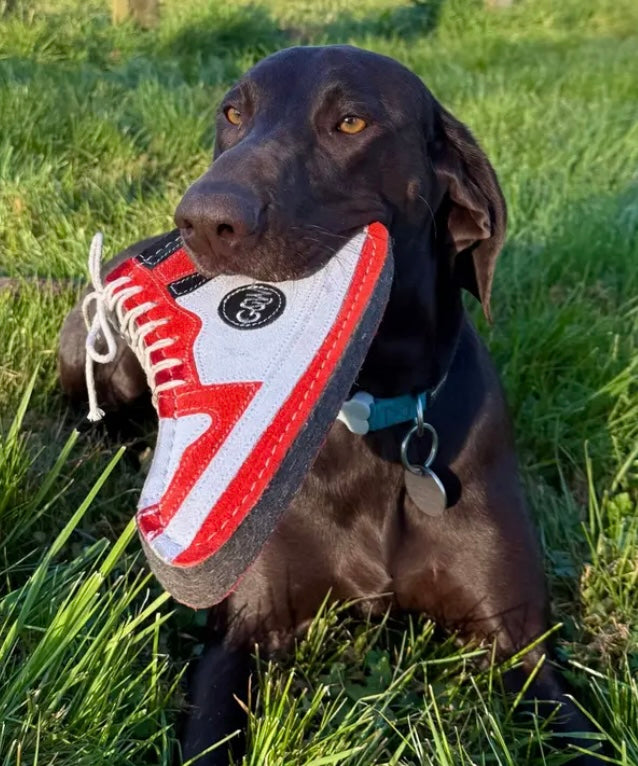 Green & Wild’s-Gordon The Hightop-Eco Dog Toy