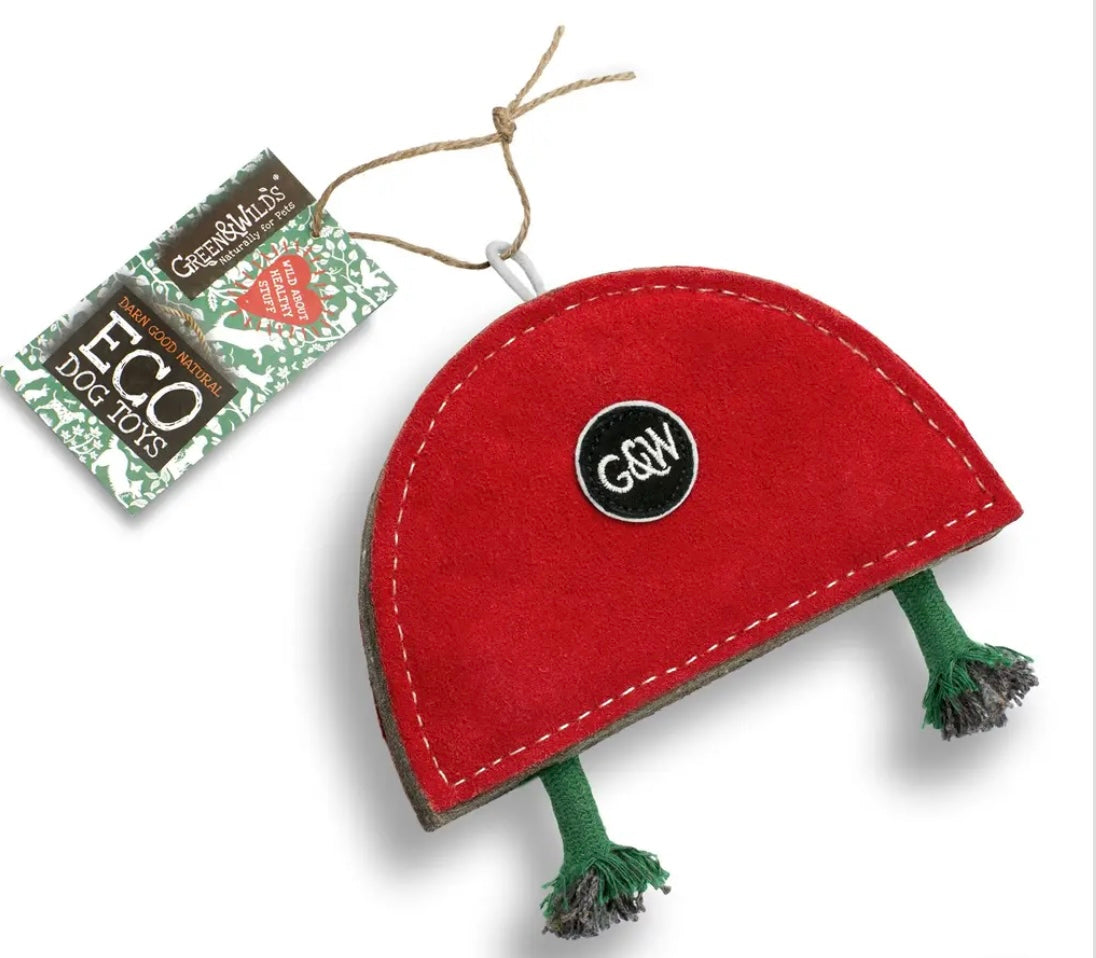 Green & Wild’s ~ Rainbow Warrior ~ Eco Dog Toy