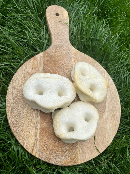Puffed Pig Snouts