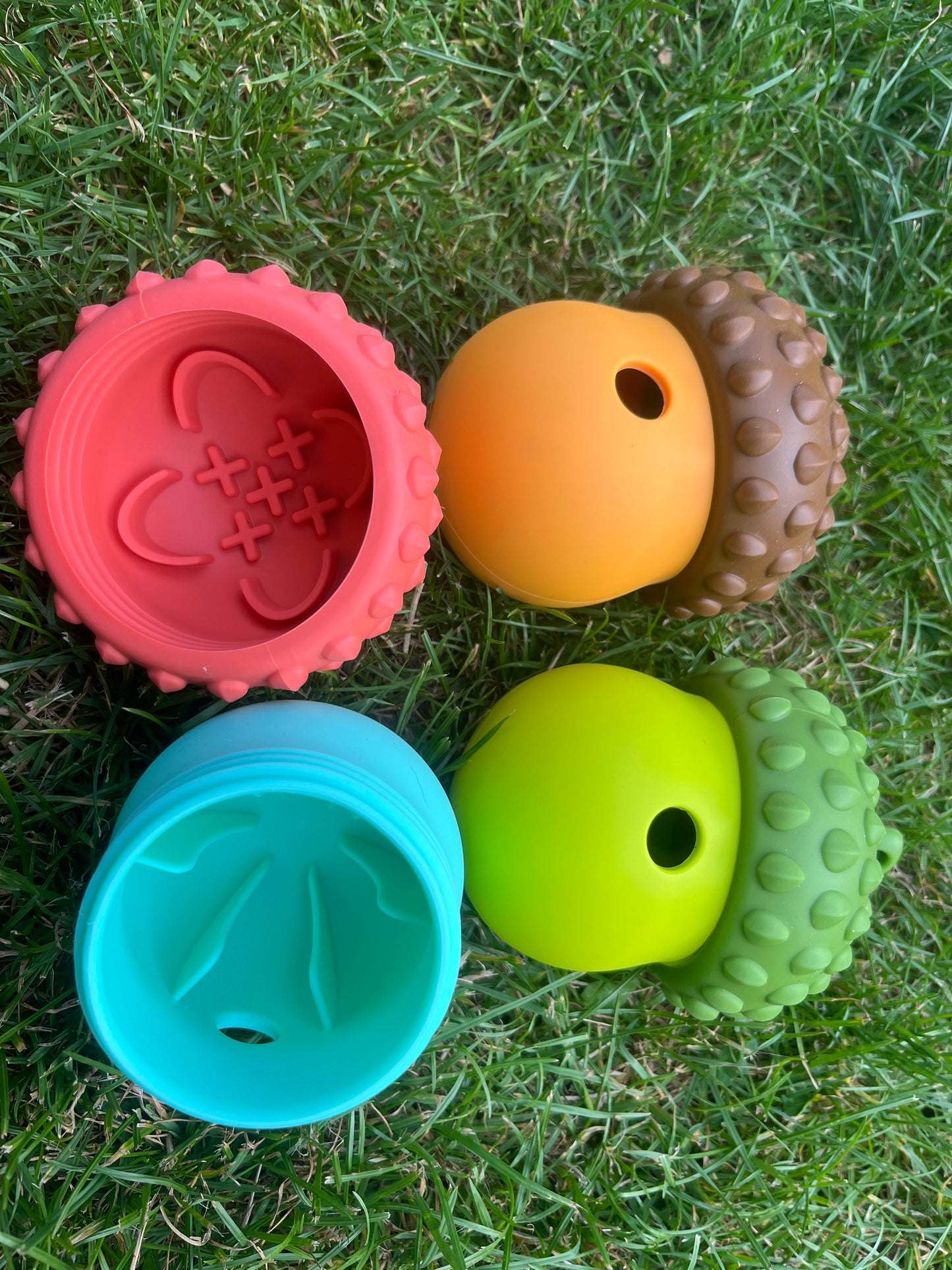 Acorn Treat Dispenser
