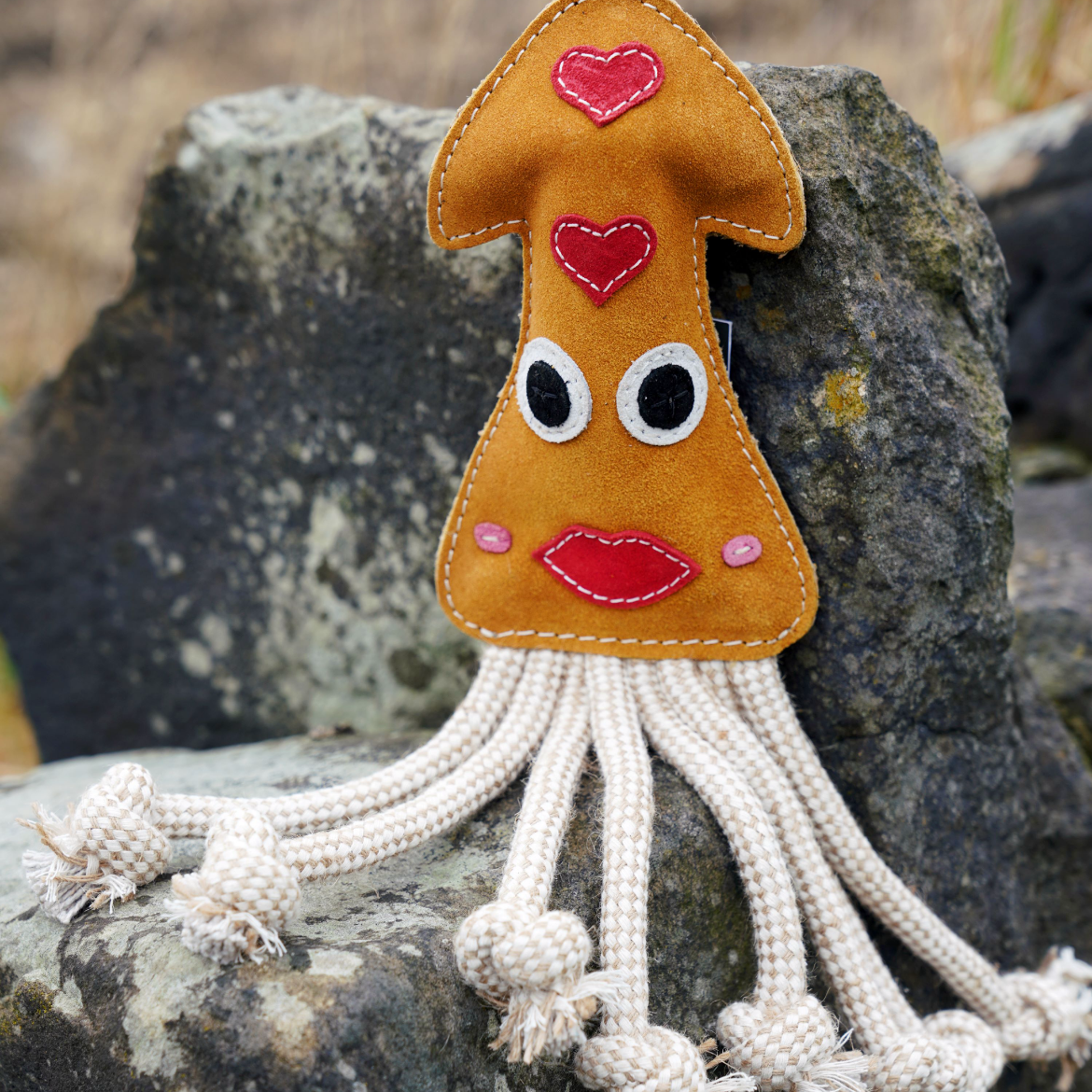 Aurora Paws ~ Karen The Squid ~ Eco Dog Toy