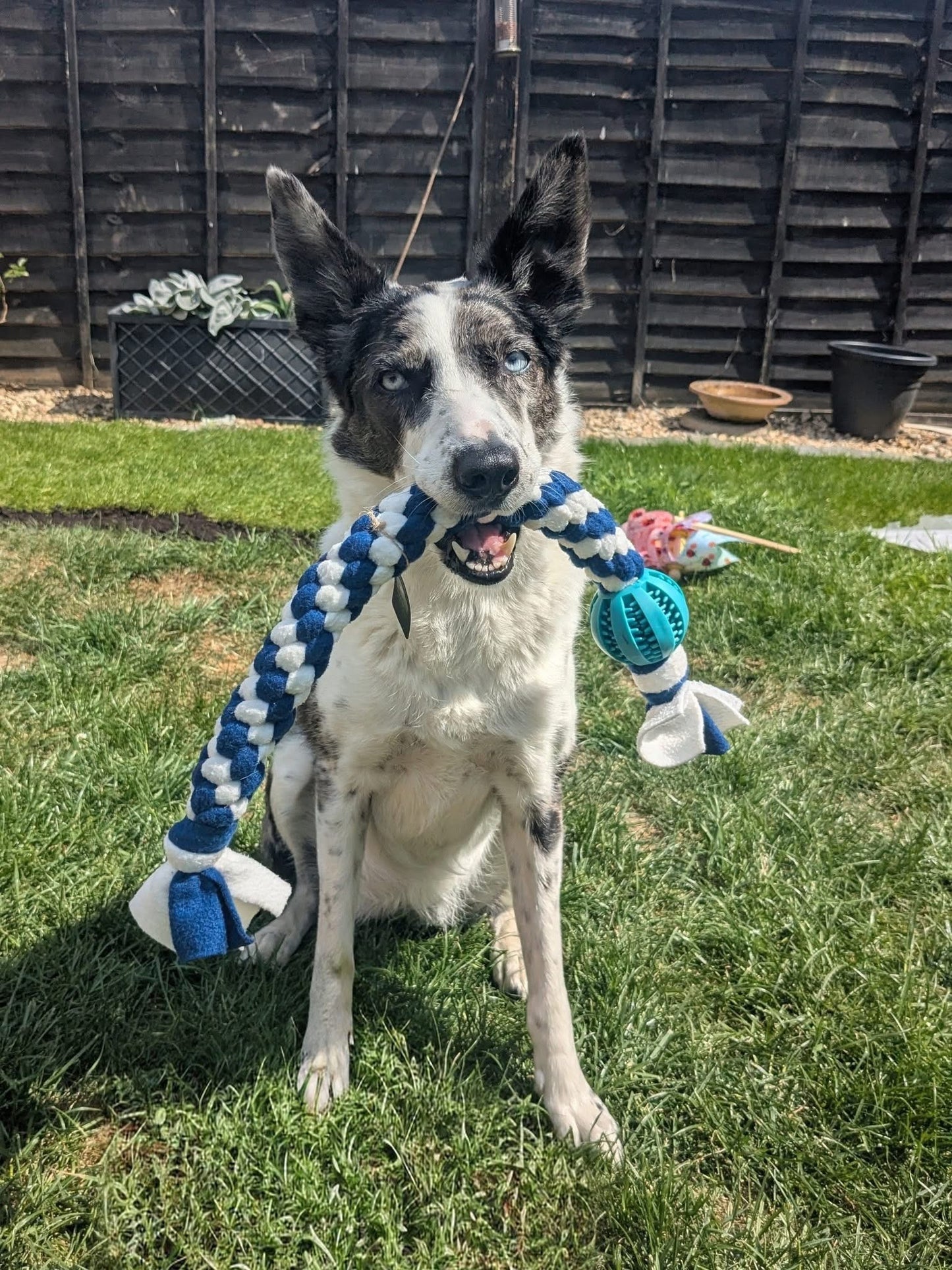 XL Ball & Tug
